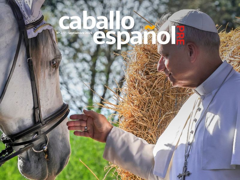 El caballo español octubre